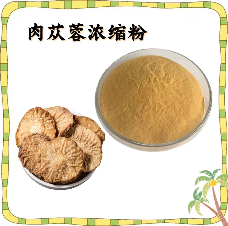 肉苁蓉浓缩粉 喷雾干燥工艺 浓缩粉末 纸板桶包装