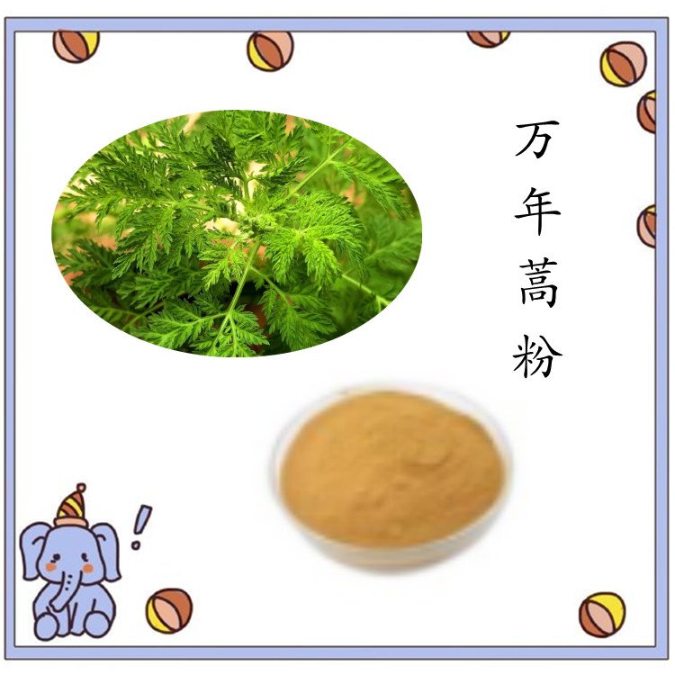 万年蒿粉 精选原料 水溶可定制  多规格 库存充足