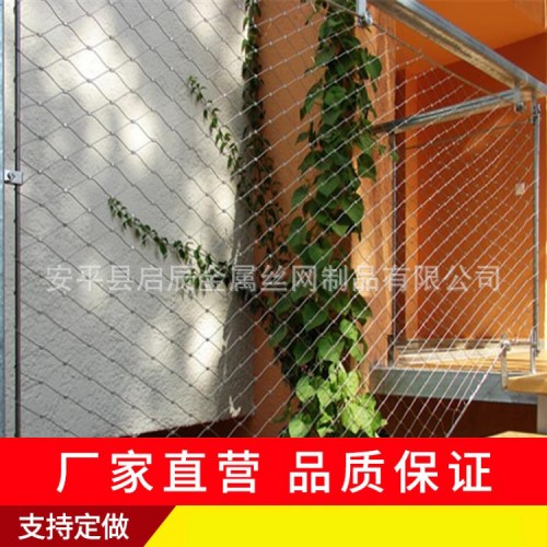 不锈钢绳网 植物攀爬网 绿色植被覆盖网生产厂家