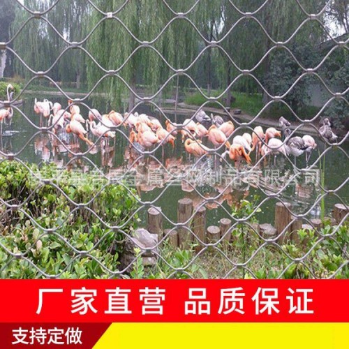 动物园鸟笼舍网 启辰 鹦鹉笼舍 植物园鸟语林网生产厂家