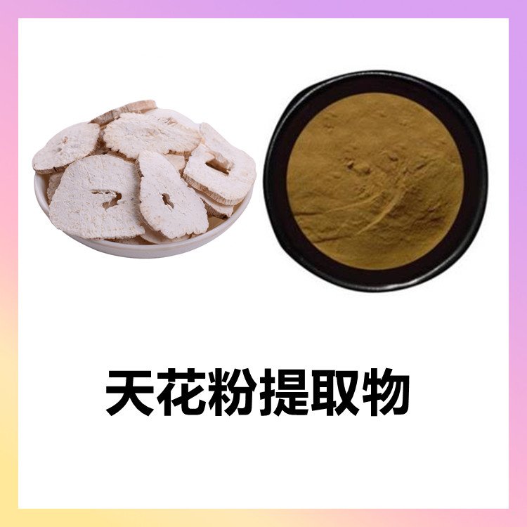 天花提取物 粉质均匀 无肉眼可见杂质 长期供应 免费拿样