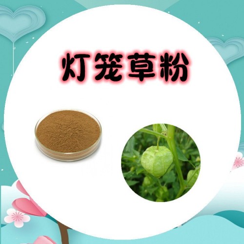 灯笼草粉 可定制 多比例浓缩萃取 源头厂家 包邮