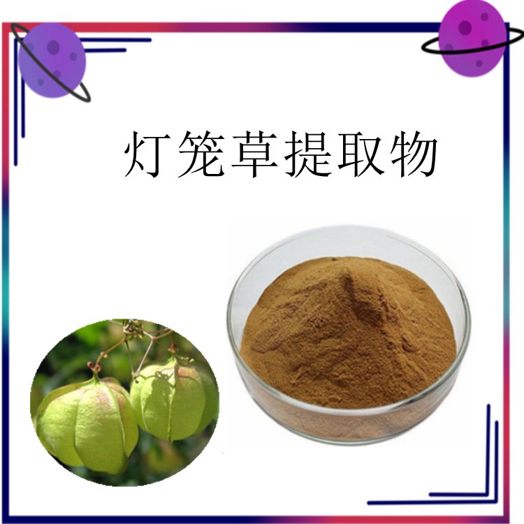 灯笼草提取物  浓缩粉 粉质均匀 水溶无沉淀 随货带报告