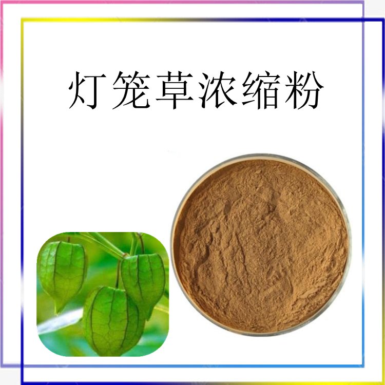 灯笼草浓缩粉 精选原料 喷雾干燥工艺 多种规格