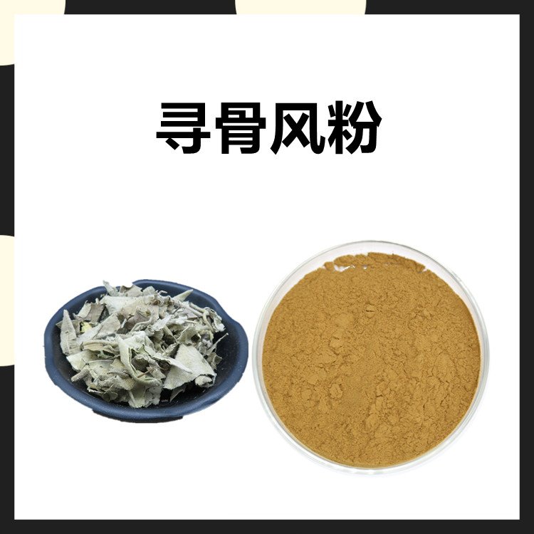 寻骨风粉 植物萃取浓缩粉 斯诺特供应 库存充足