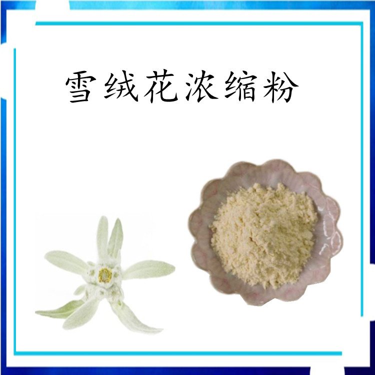 雪绒花浓缩粉 精选原料 浓缩粉末 无肉眼可见杂质