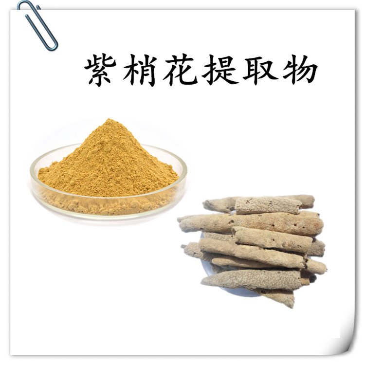 紫梢花提取物 自有种植基地 粉末细腻  长期供应 可定制