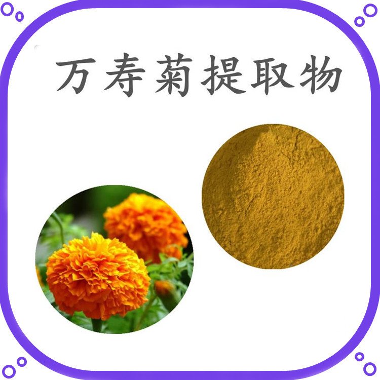 万寿菊提取物 10:1规格可定制生产 斯诺特生物 源头厂家