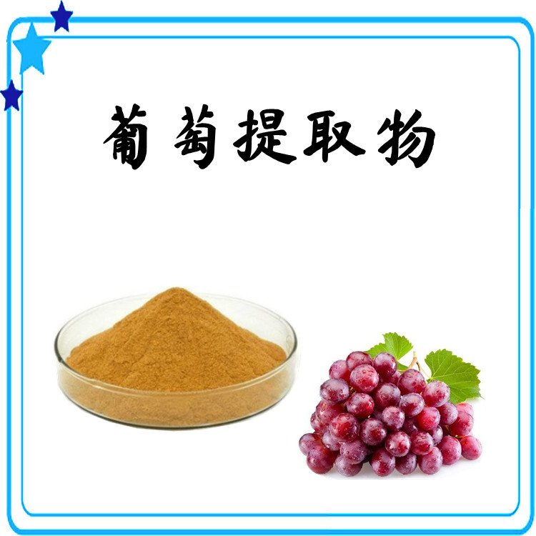 葡萄提取物 10:1规格 粉末细腻 随货带报告 支持拿样