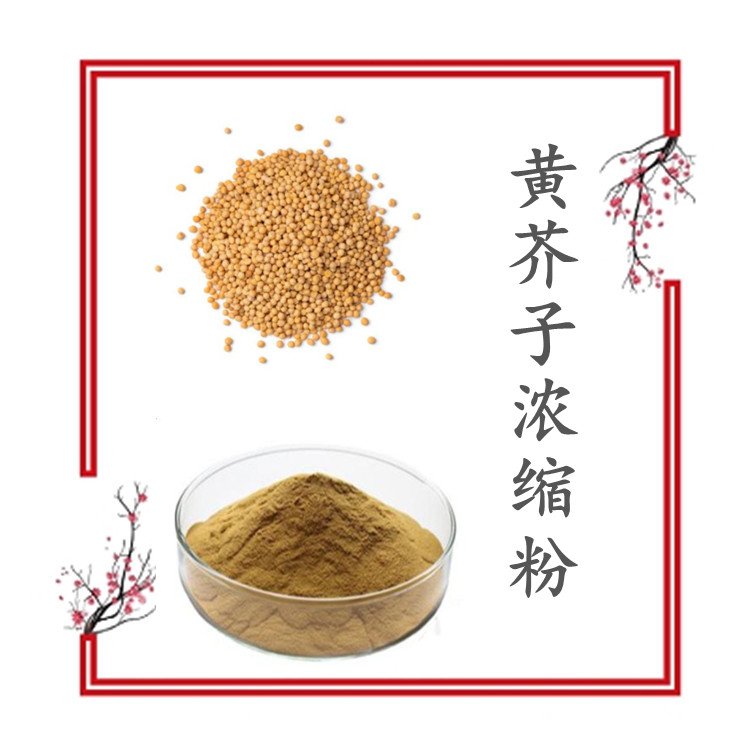 黄芥子浓缩粉 不添加任何防腐剂 粉末流动性好