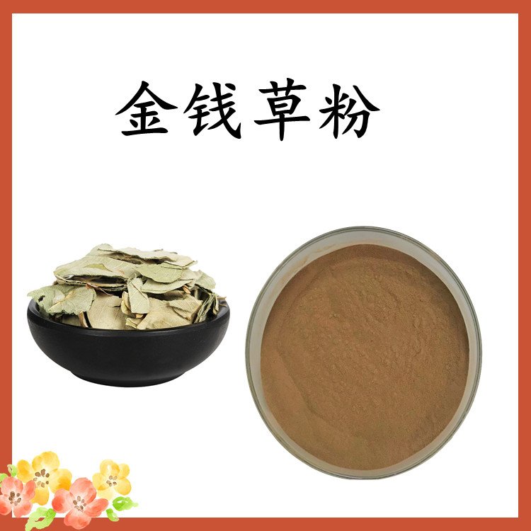 金钱草粉 源头工厂 粉末流动性好 免费拿样 含税含运