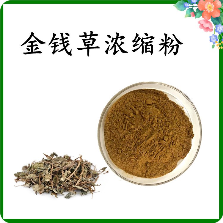 金钱草浓缩粉 粉末均匀 无肉眼可见杂质 纸板桶包装