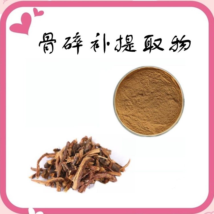 骨碎补提取物 浓缩粉末 全水溶 长期供应 品质优良
