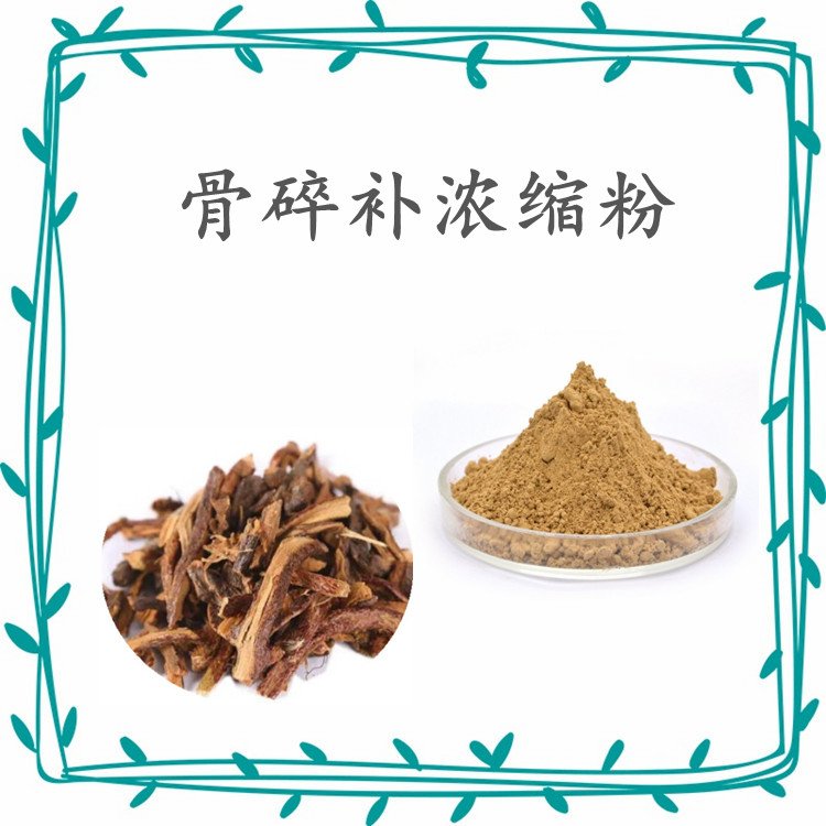 骨碎补浓缩粉 斯诺特生物 棕黄色粉末 粉质均匀