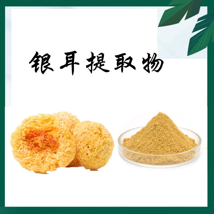 银耳提取物 资质齐全 粉质细腻 长期供应 品质优良