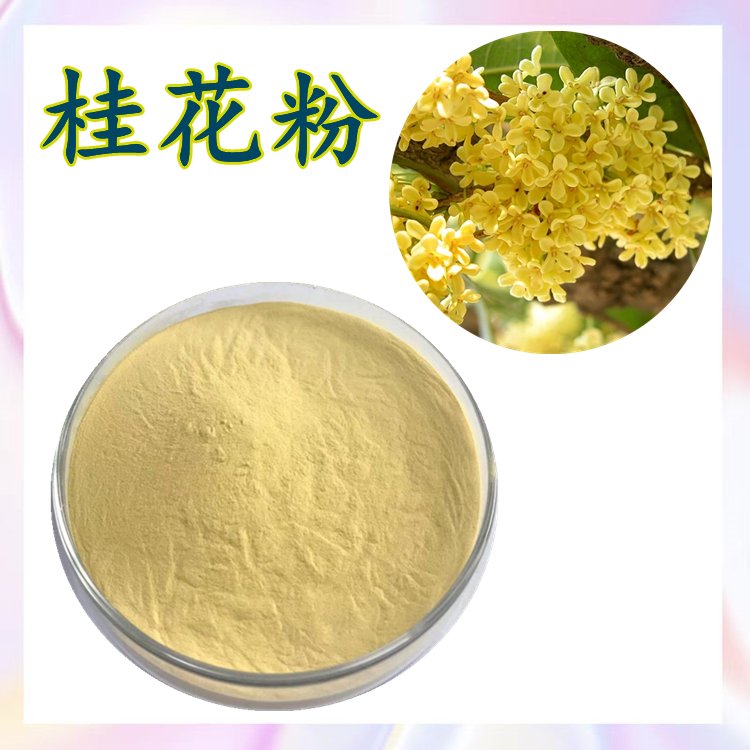 桂花粉 斯诺特生物 水溶粉 喷雾干燥工艺 随货带报告