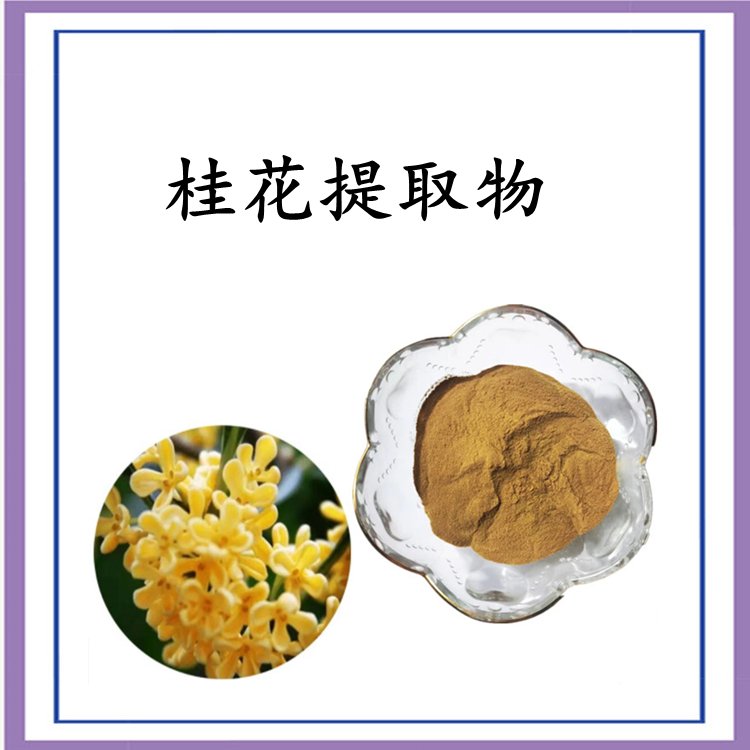 桂花提取物 粉质细腻 流动性好 规格齐全 质量稳定 现货包邮
