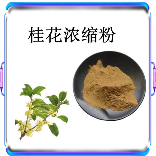 桂花浓缩粉 自有种植基地 不添加任何防腐剂 可发样品