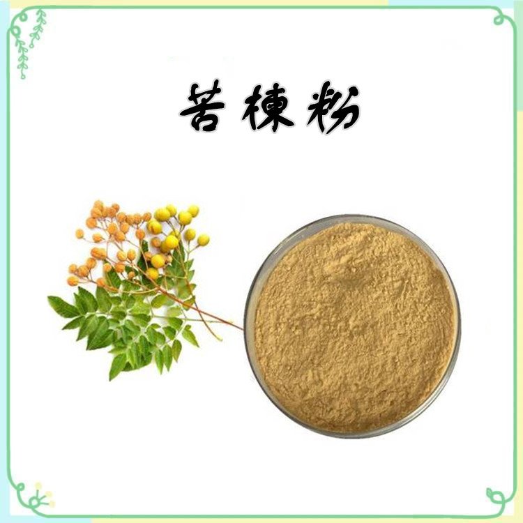 苦楝粉 斯诺特生物 10余年植提厂家 经验丰富 品质优良