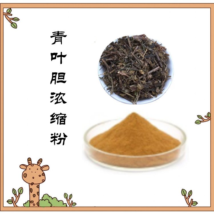 青胆叶浓缩粉 粉末细腻 水溶无沉淀 不添加任何防腐剂