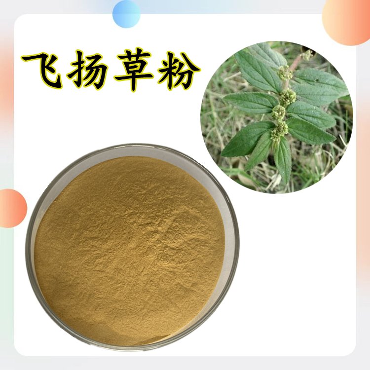 斯诺特生物 飞扬草粉 精选原料 植物萃取 规格齐全