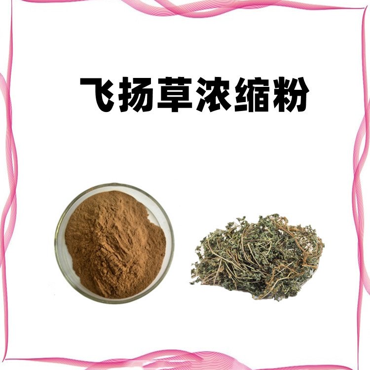 飞扬草浓缩粉 库存充足 规格多种 全水溶无结块 支持拿样
