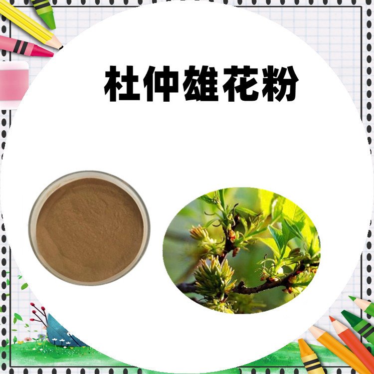 杜仲雄花粉 斯诺特生物可代加工 精选原料 可发样品