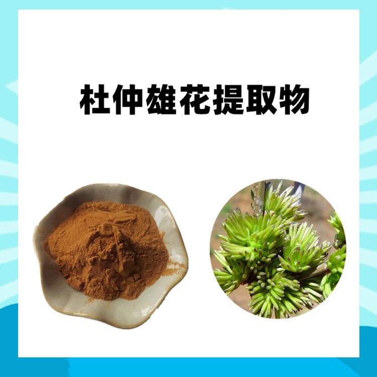 杜仲雄花提取物 含绿原酸 现货包邮 纸板桶包装
