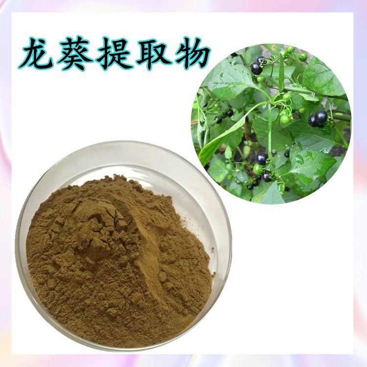 龙葵提取物 棕黄色粉末 全水溶无结块 随货带报告