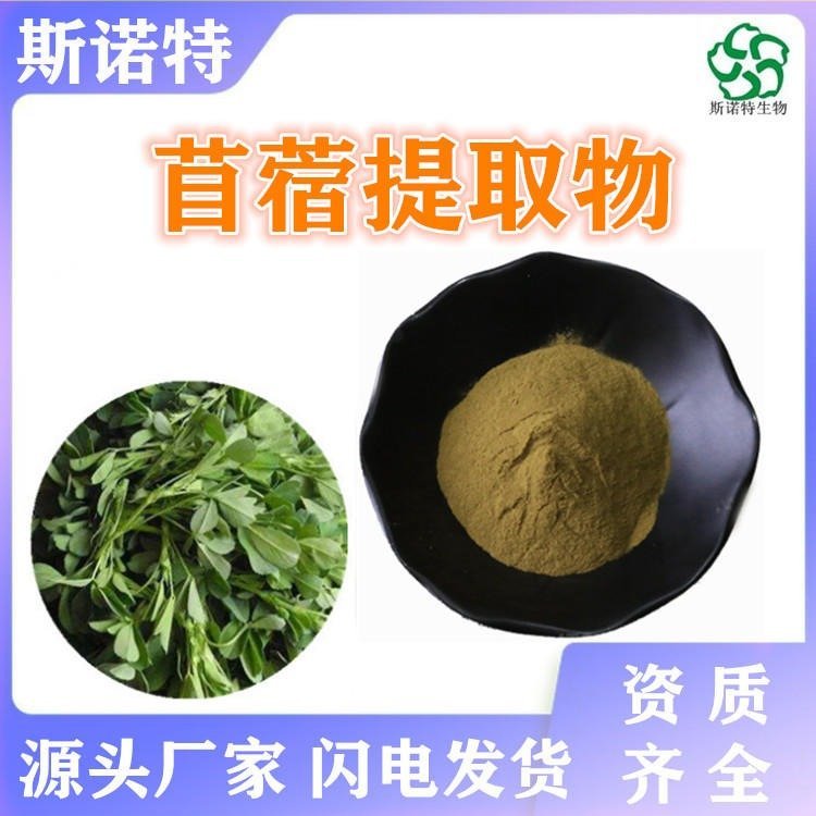 苜蓿提取物 粉末流动性好 规格齐全 随货带报告 包邮