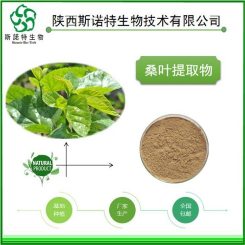 桑叶提取物 斯诺特生物 植物萃取 多种规格 可定制