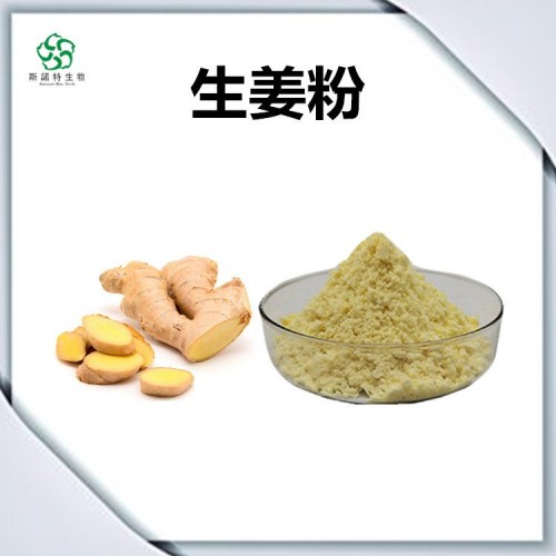 生姜粉 精选原料 无肉眼可见杂质 粉末流动性好