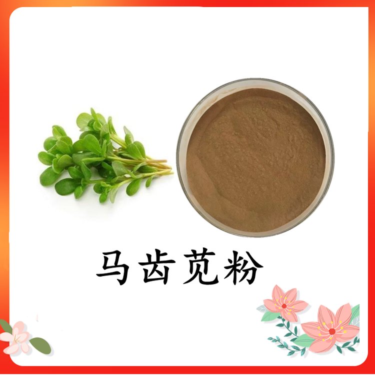 马齿苋粉 自有工厂 多规格可选 品质保证