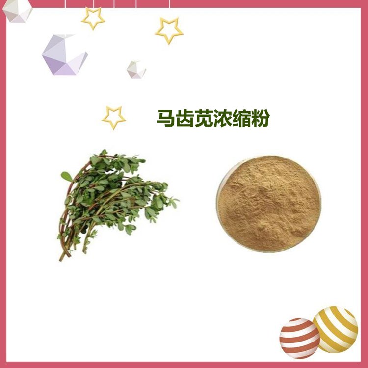 马齿苋浓缩粉 自有工厂 多规格可选 品质保证