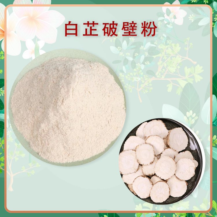 白芷破壁粉 斯诺特生物 十余年植提厂家 第三方检测合格