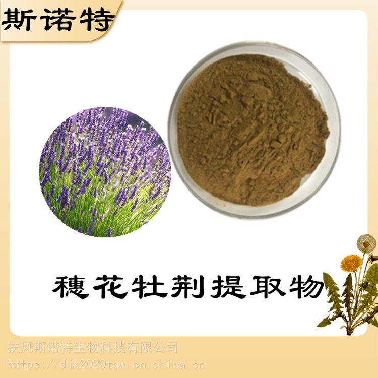 穗花牡荆粉 植提厂家 扶风斯诺特生物 库存充足 可定制