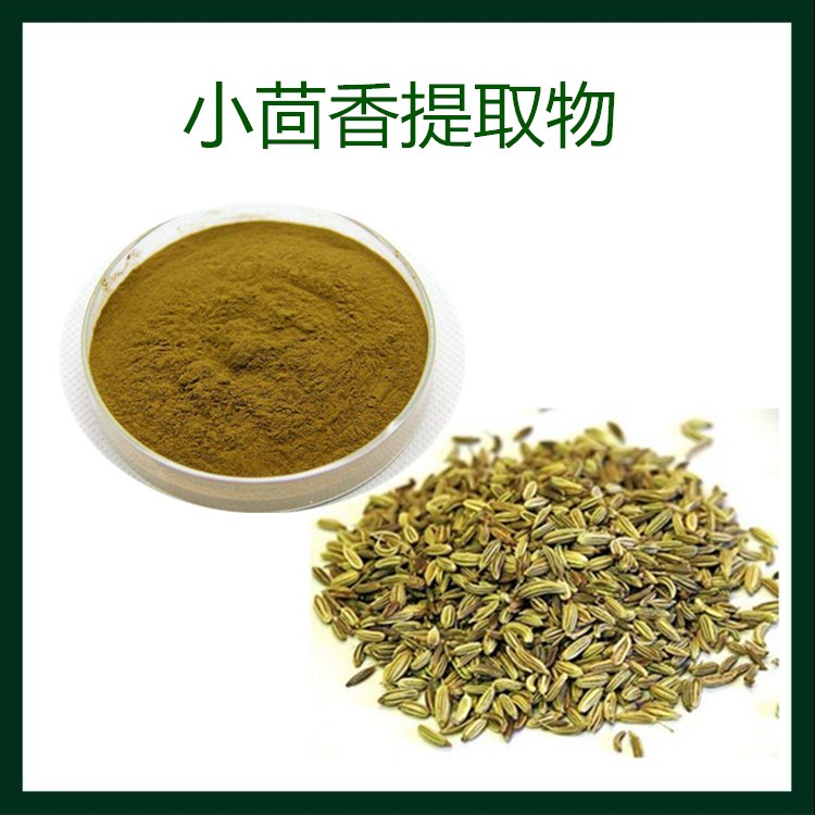 小茴香提取物 小茴香粉 斯诺特生物 支持拿样