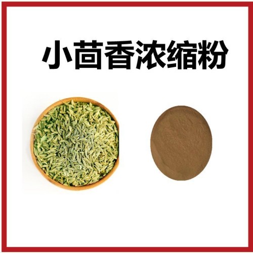 小茴香浓缩粉 食品级原料 喷雾干燥工艺 粉末均匀