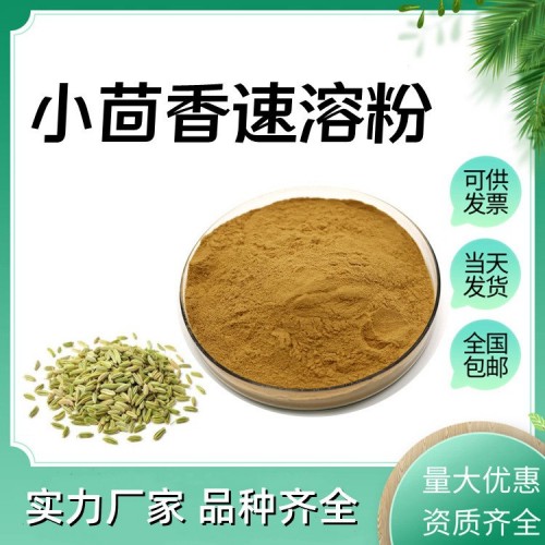 小茴香速溶粉 斯诺特生物 食品级原料浓缩萃取 全水溶 可定制