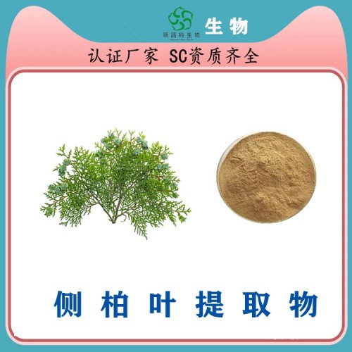 侧柏叶提取物 植物萃取 经验丰富 库存充足 长期供应