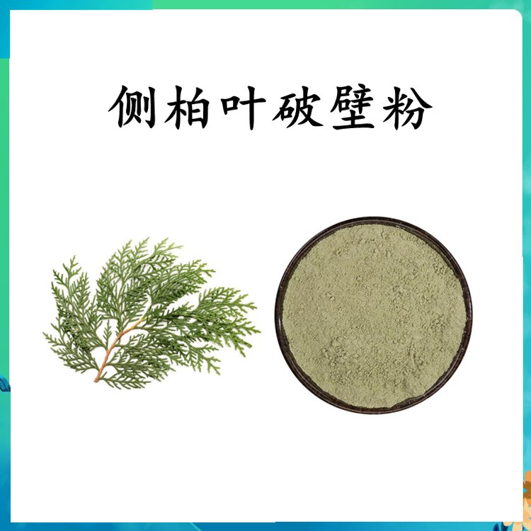 侧柏叶破壁粉 精选原料  粉末细腻 质量稳定 斯诺特生物