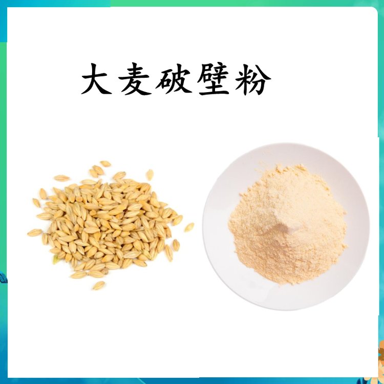 大麦破壁粉 纯植物萃取 浓缩粉末 全水溶无结块 含税含运