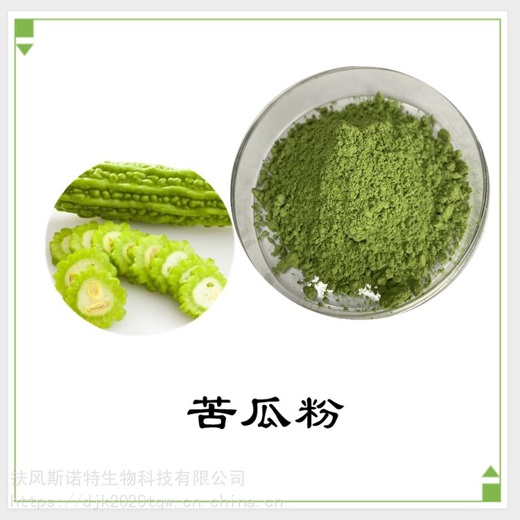 苦瓜粉 苦瓜浓缩粉  斯诺特生物 源头厂家 10余年植提经验