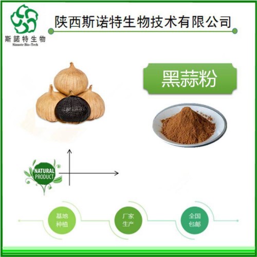 黑蒜粉 多种规格 源头厂家 现货包邮