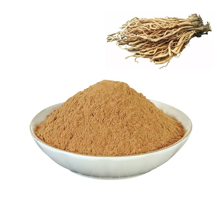 板蓝根提取物 斯诺特生物 支持拿样 多规格提取