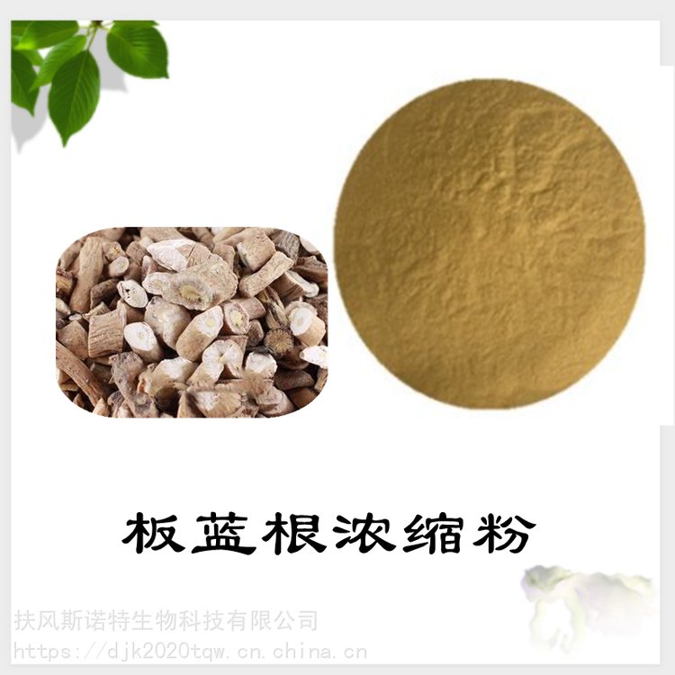 板蓝根浓缩粉 植物萃取 源头厂家 库存充足 现货包邮