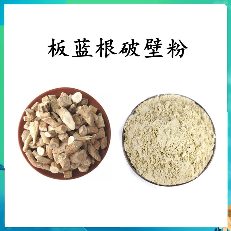 板蓝根破壁粉 植物萃取 源头厂家 库存充足 现货包邮
