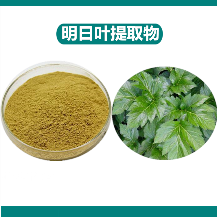 明日叶提取物 精选原料 浓缩萃取 规格齐全 含税含运