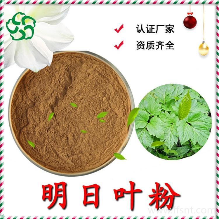明日叶粉 斯诺特工厂 源头供应 现货包邮 随货带报告