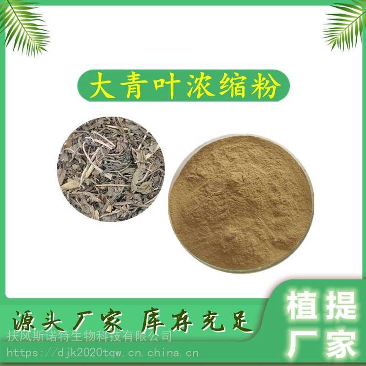 大青叶浓缩粉 植物萃取 浓缩粉末 水溶性好 可定制